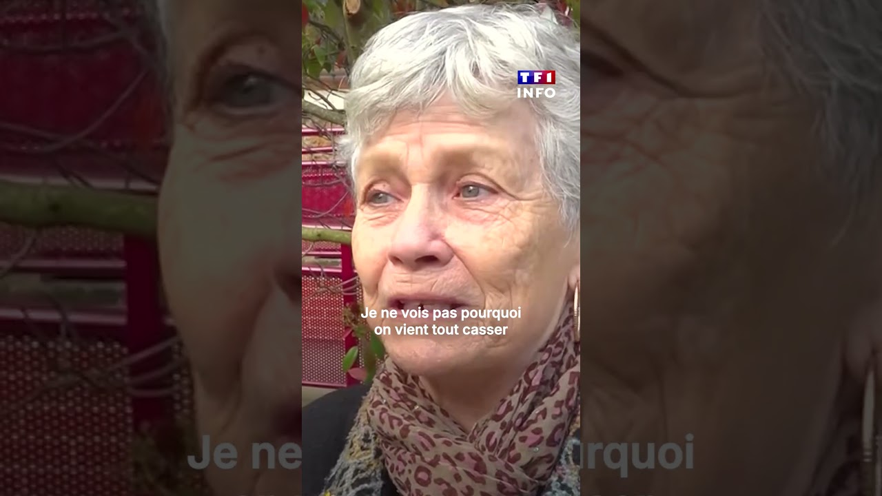 Fresnes : la mairie vandalis&eacute;e par une vingtaine d'individus, les images du saccage｜TF1 INFO