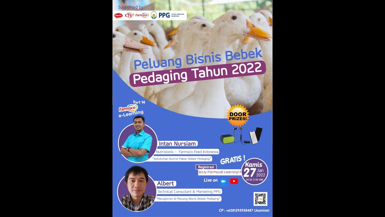 Farmsco E-Learning Part 14 : Peluang Bisnis Bebek Pedaging Tahun 2022 bersama Putra Perkasa Genetika