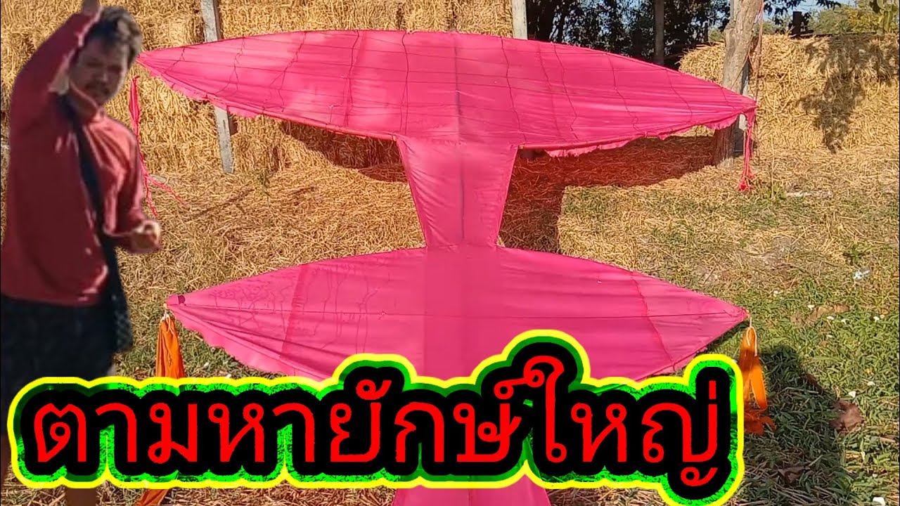 ตามหา#เจ้ายักษ์ใหญ่ตอนนี้ไปนอนอยู่ที่ไหน