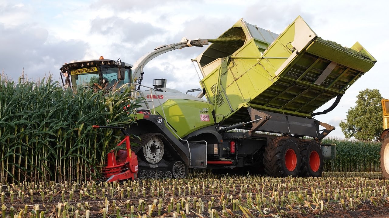 Mais Silage 2023 | Claas Jaguar 980 Field Shuttle | New Holland T7.270 | De Bruyne Agro