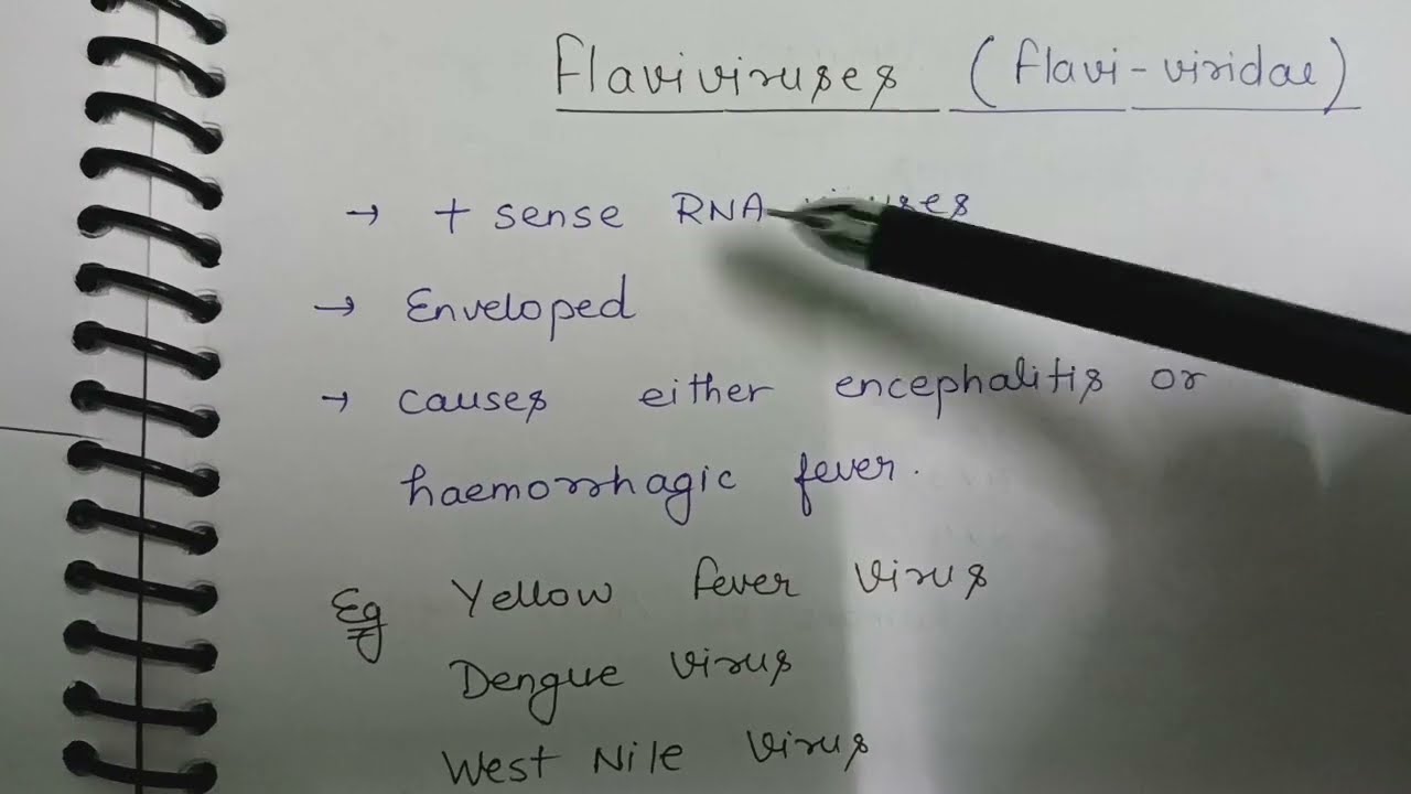 Flavivirus