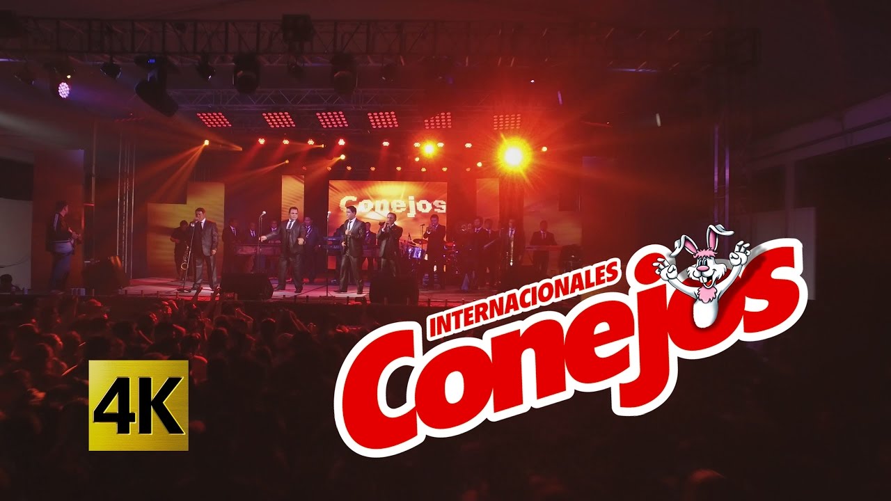 Internacionales Conejos - El Norti-Rollo # 25 Renunciación, Te Hubieras Ido Antes / Calidad 4K