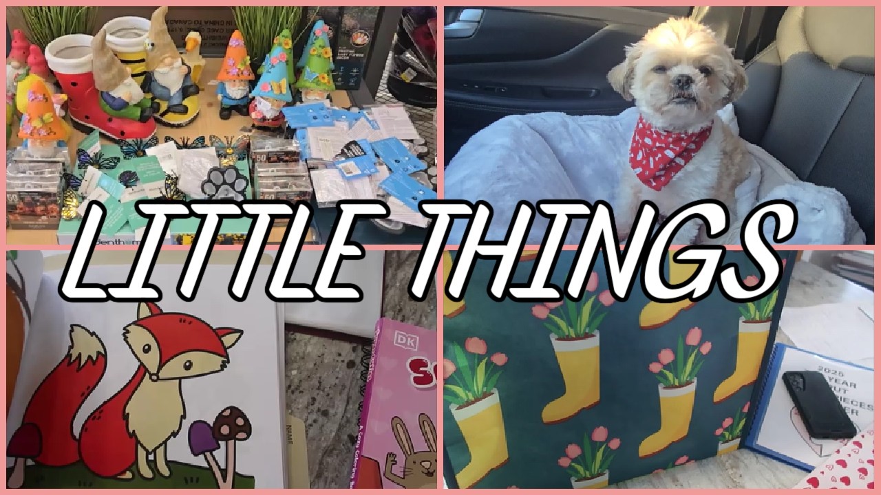 THE LITTLE THINGS - THRIFTING - ROUTINE - HOBBIES - DAY TO DAY LIFE VLOG