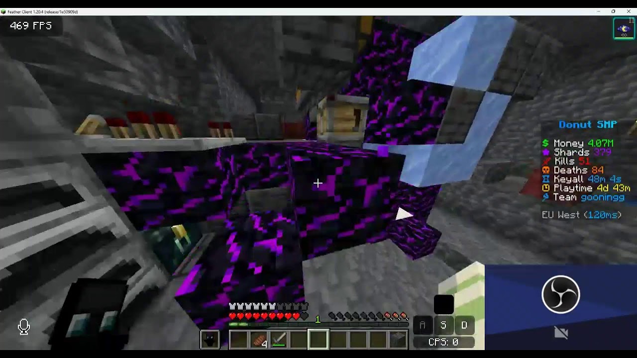 litslsmp and donut smp