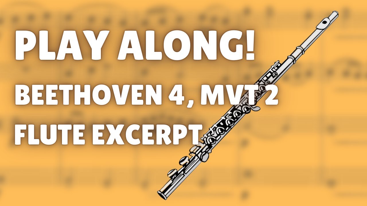 Play Along! Beethoven Symphony No. 4, Mvt 2  Flute Excerpt - Orchestral Track WITHOUT FLUTE