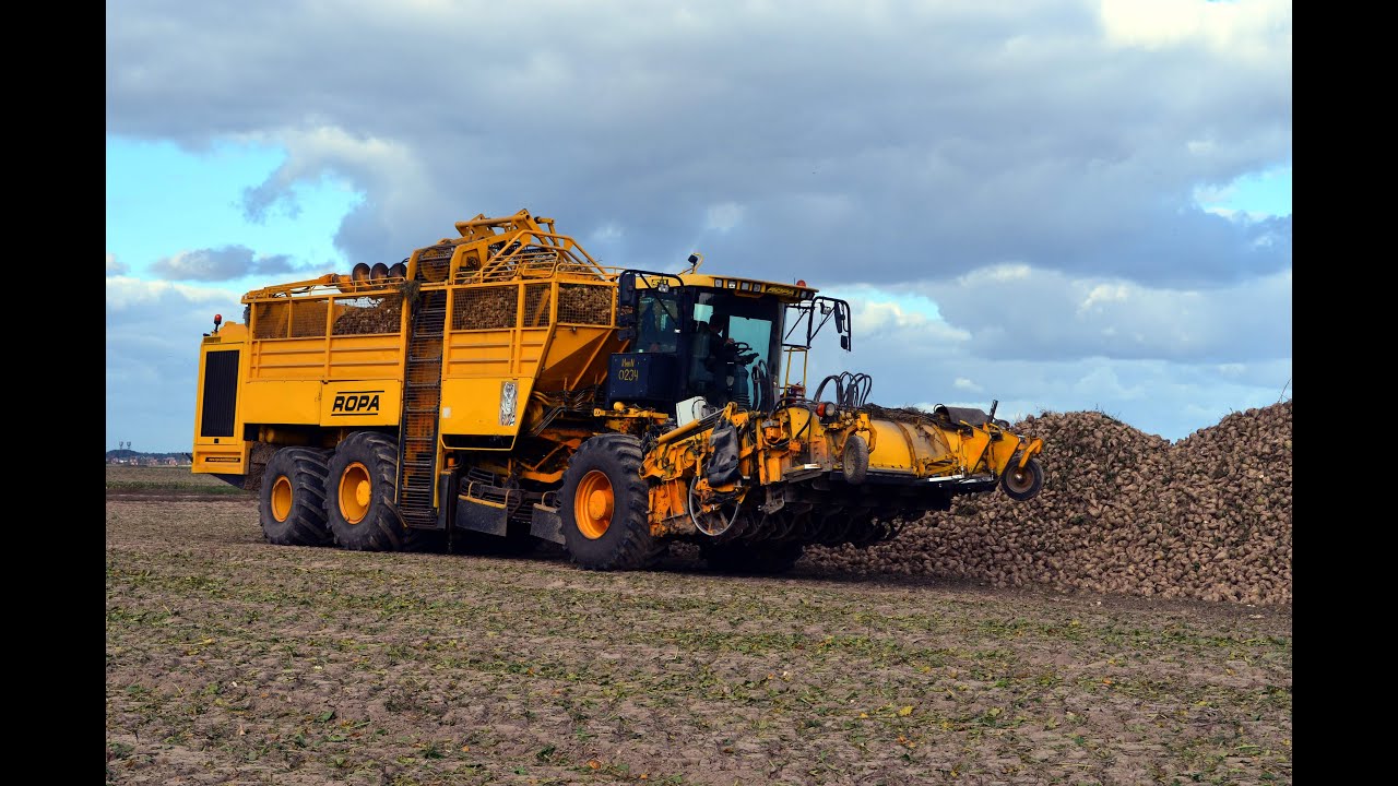 ROPA TIGER 6 Уборка сахарной свеклы
