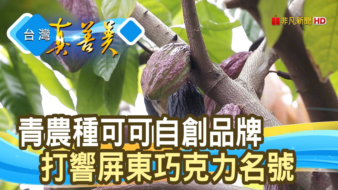 “可可型農”煉黑金商機｜小雨果巧克力｜【台灣真善美】2020.12.27