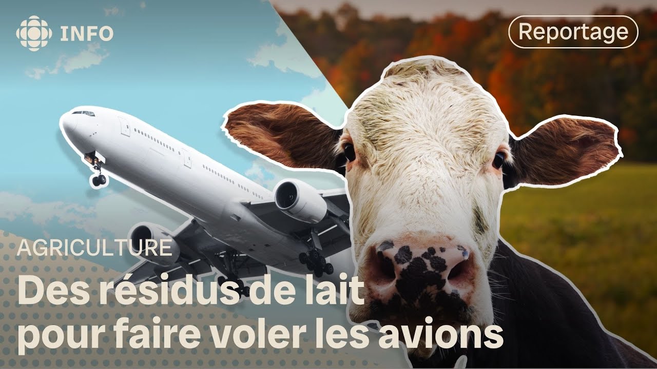 Transformer le perméat de lait en biocarburant | La semaine verte