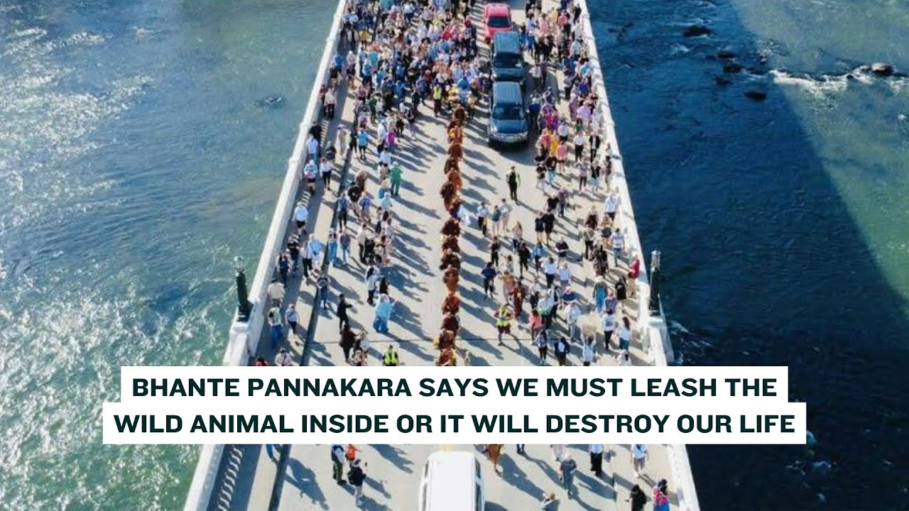 Day 80: Bhante Pannakara says if we do not leash the wild animal inside us, it will destroy our life