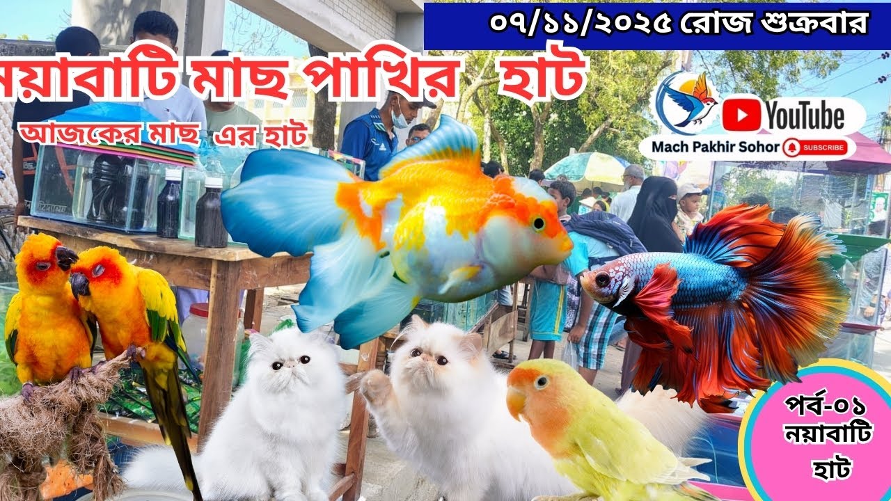 সবথেকে বড় মাছ পাখির হাট পর্ব-১ Largest aquarium #fish market #Khulna খালিশপুর,নয়াবাটি , খুলনা