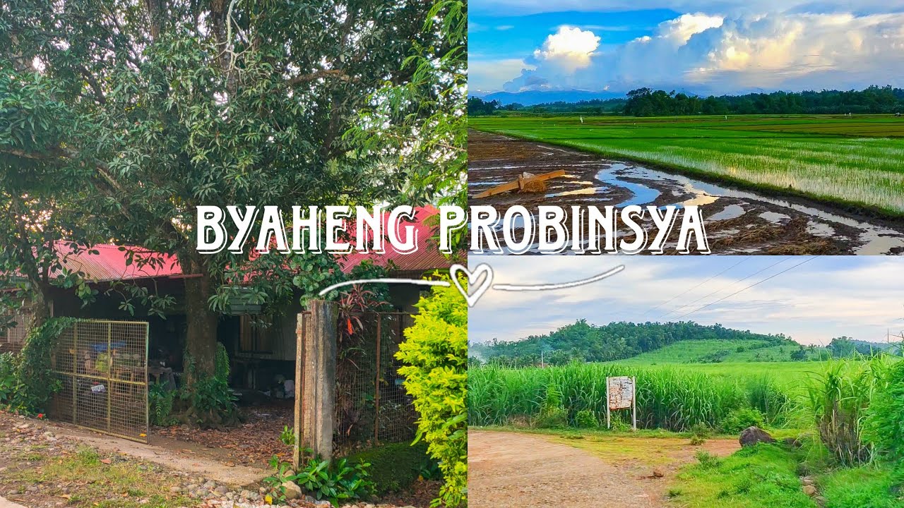 Byaheng Probinsya: Sulit Ang MAGANDANG TANAWIN 🌾| Buhay sa Probinsya | Philippines | Faith Blanaque