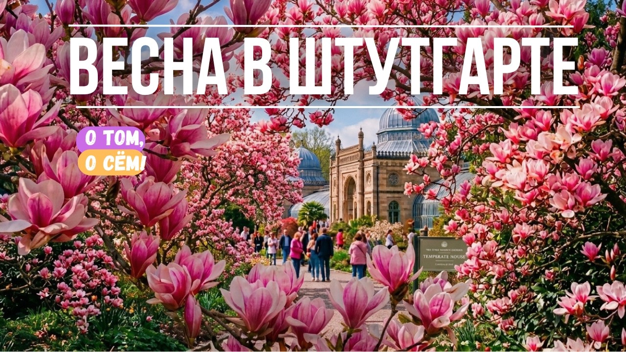 Штутгарт - самые красивые весенние локации. Цветение сакуры, магнолий, каштанов. Германия весной