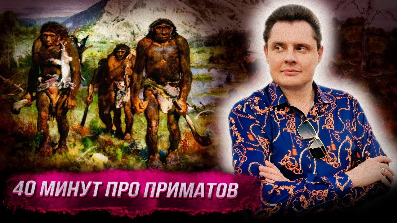 Понасенков 40 минут описывает разных увиденных приматов