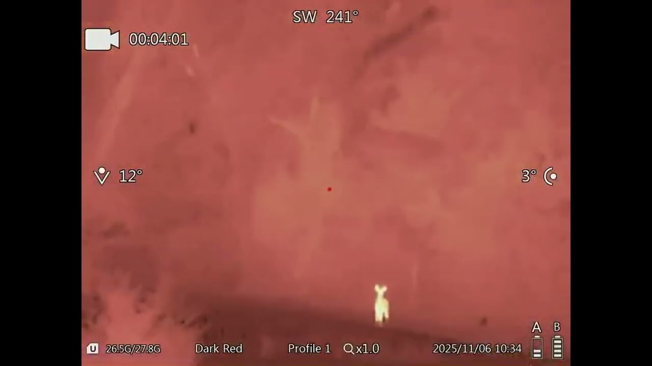 GOYOJO GRS225RF scope in action