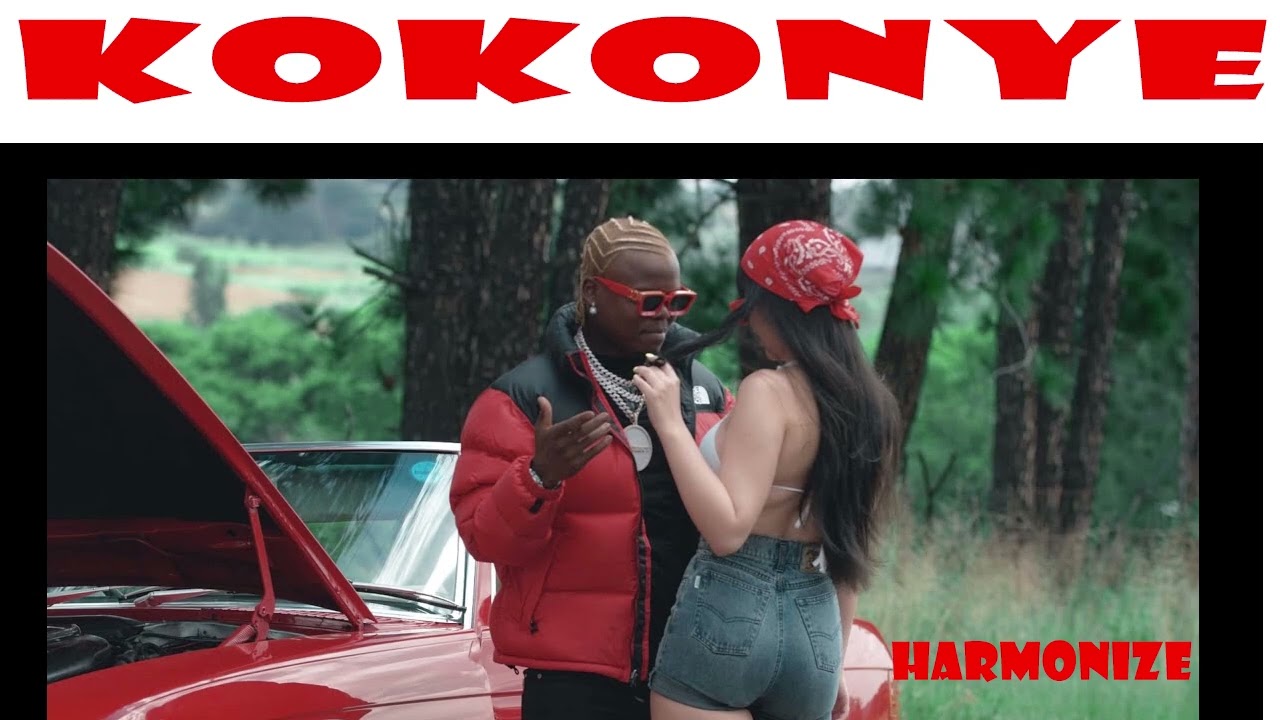Harmonize _ Kokonye ❤️♥️🌺🥰🌺😍🌹🤩🤩