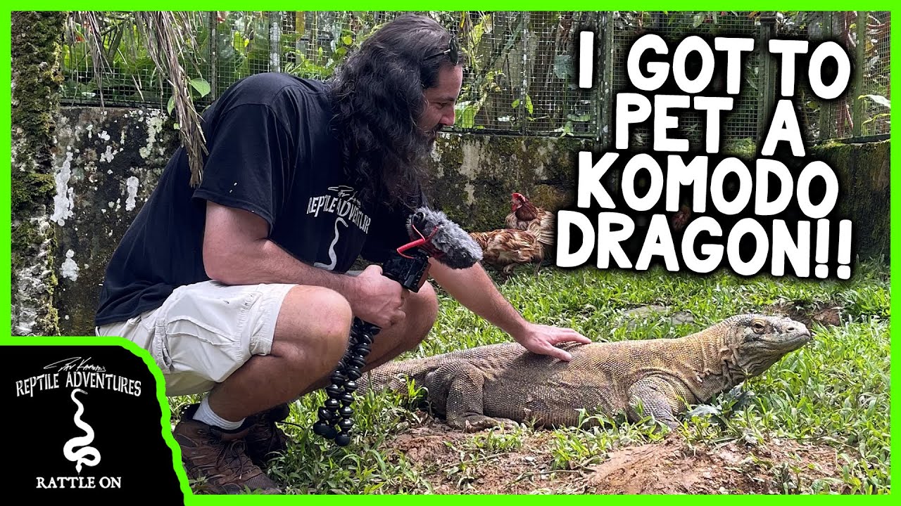 ЭКСКУРСИЯ ПО САМОМУ КРУТОМУ ЗООПАРКУ РЕПТИЛИЙ В КОСТА-РИКЕ! (Зоопарк рептилий «Рептиландия»)