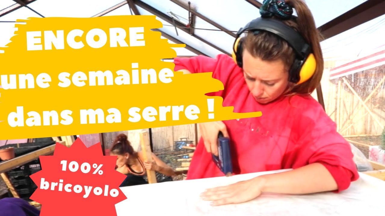 UNE NOUVELLE SEMAINE DANS MA SERRE : backstage, bricolage et surprise...