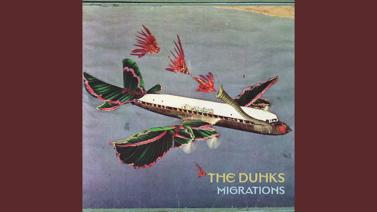 Turtle Dove