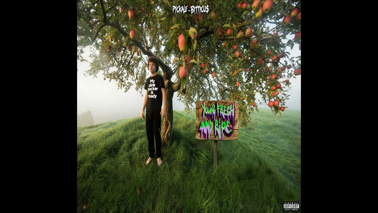TANGY SC4T