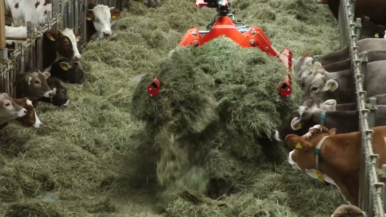 Landwirtschaft Auhof
