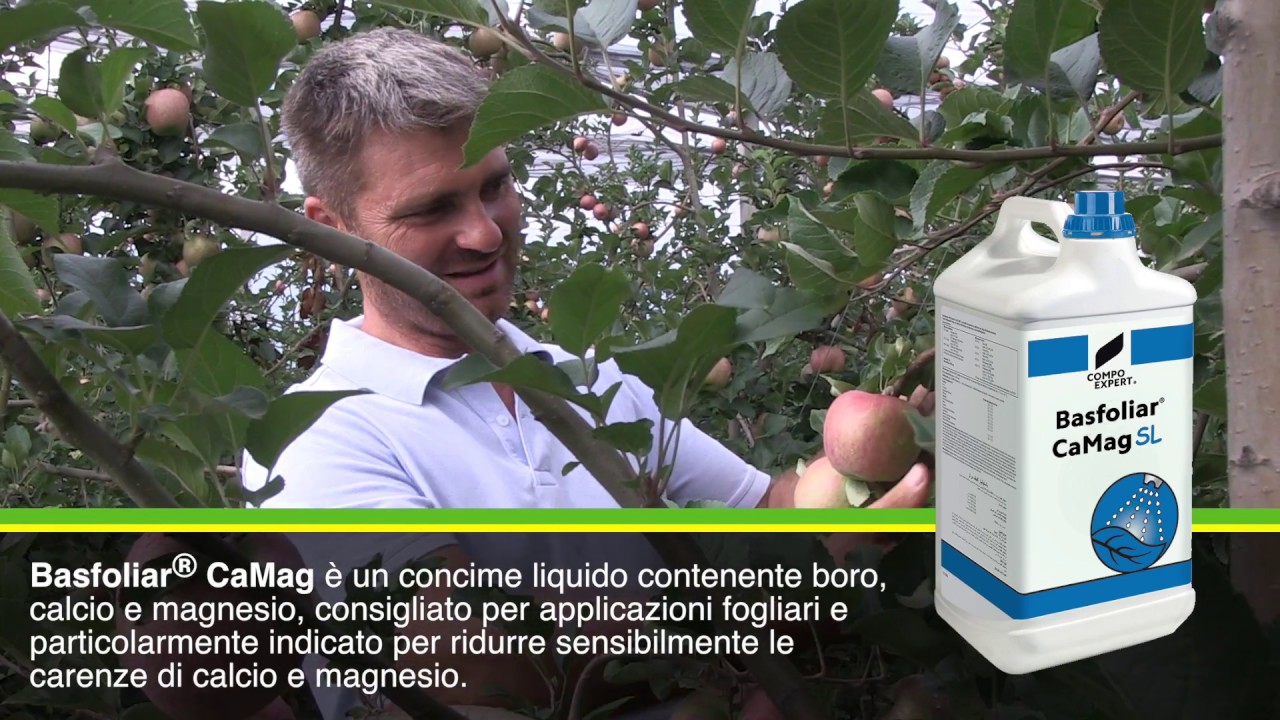La concimazione del melo