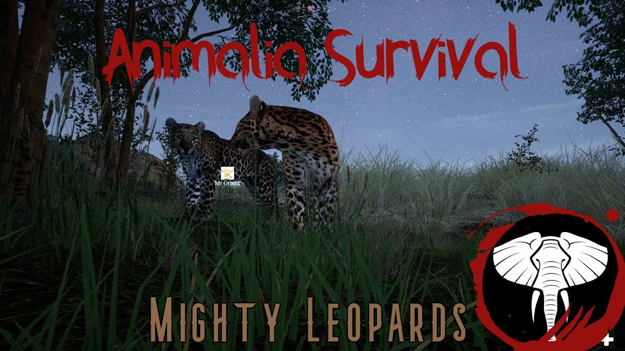 Mighty Leopards | Animalia Survival