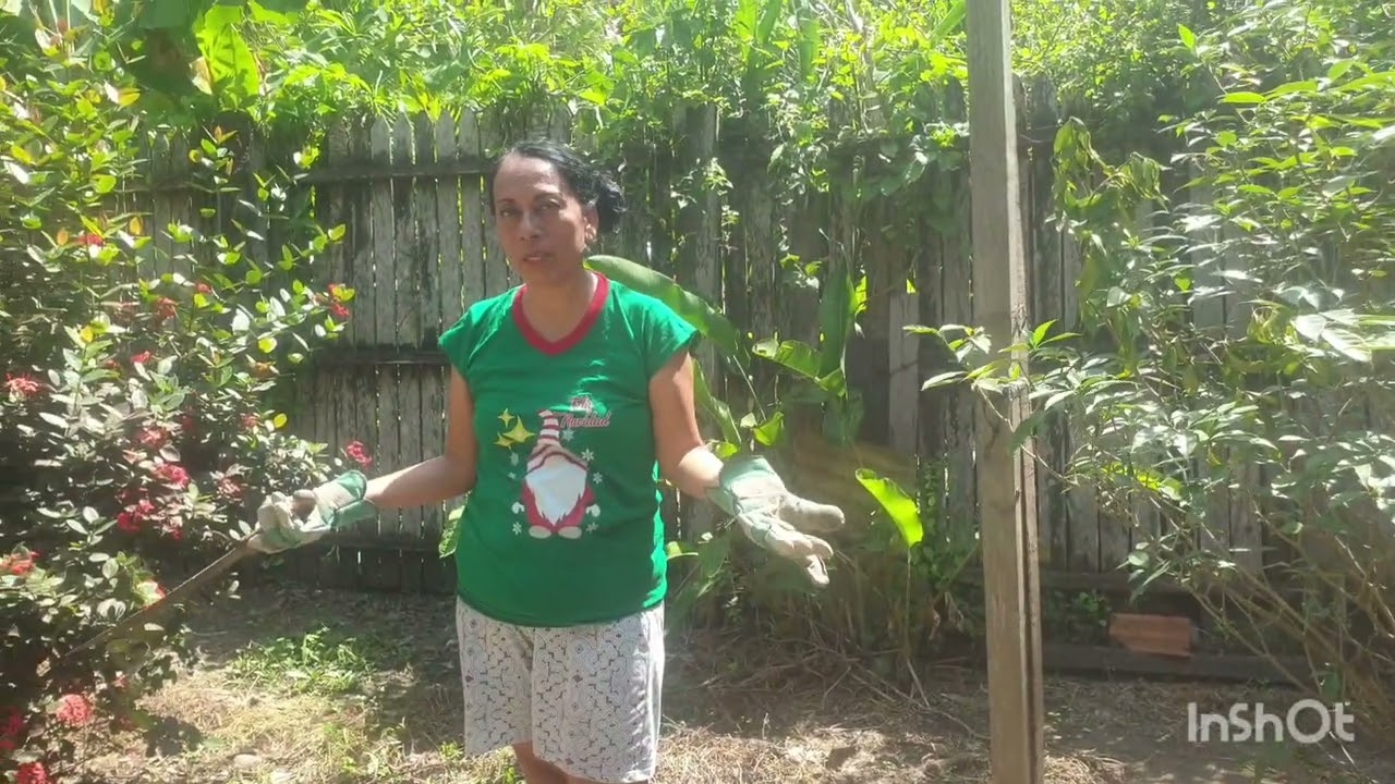 Podando mis plantas en casa#huertafamiliar #plantas #viral #jardin #huertaecologica