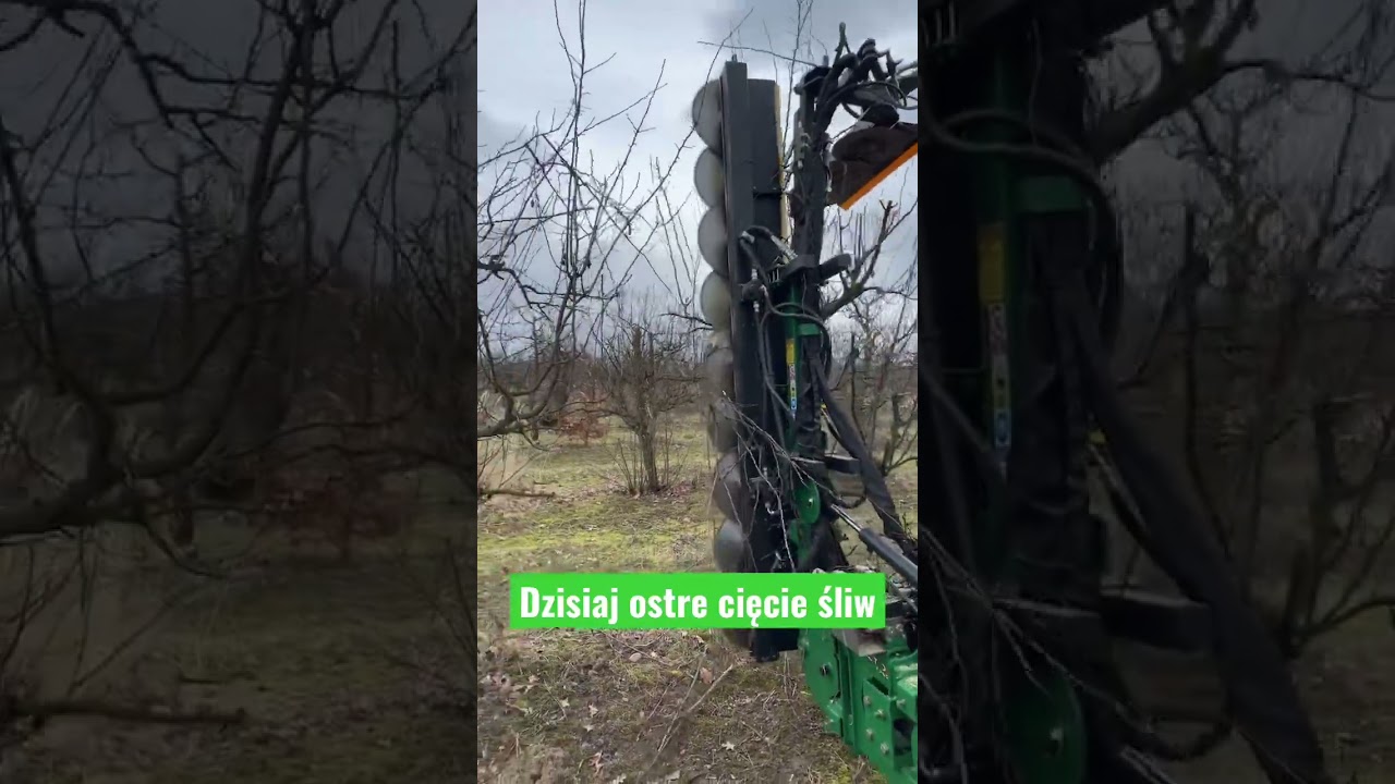 Cięcie mechaniczne śliw - PRO-CNC