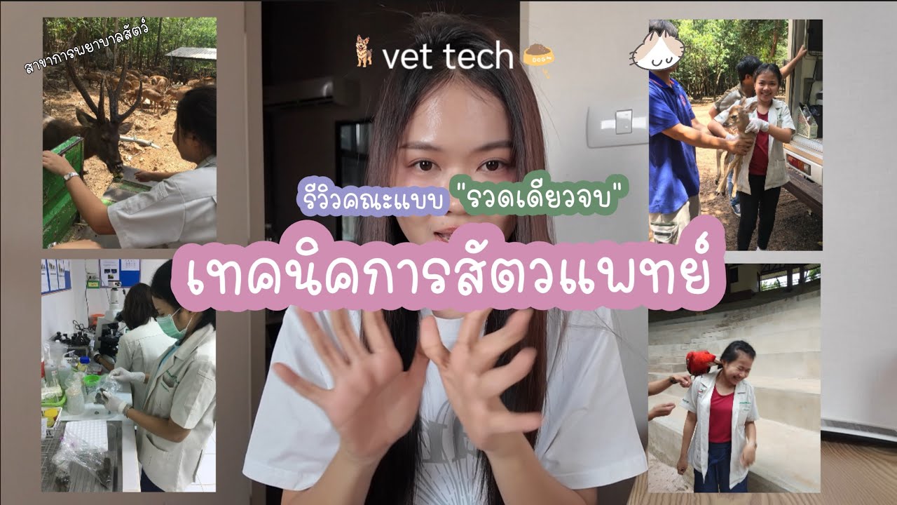 💉รีวิว💉”คณะเทคนิคการสัตวแพทย์“เงินเดือนเท่าไหร่ เรียนอะไร รวดเดียวจบ🐶🪵🦌🐻