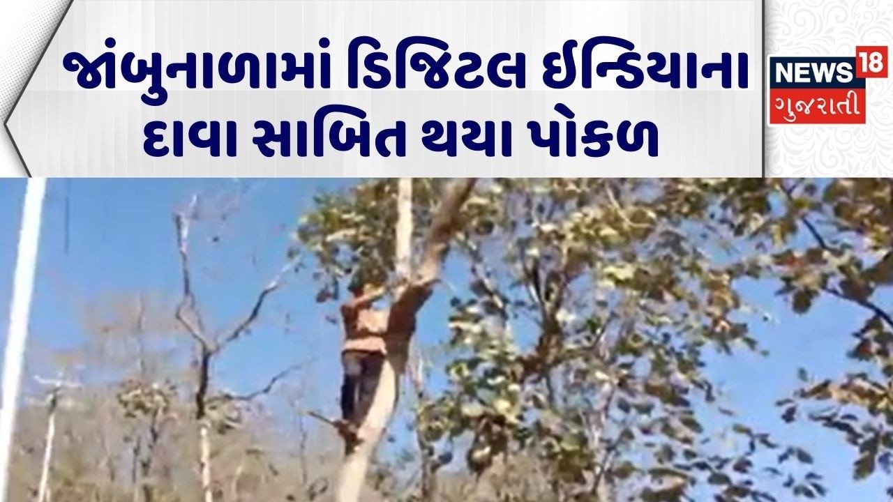 Mahisagar Mobile network Issue | જાંબુનાળામાં ડિજિટલ ઇન્ડિયાના દાવા સાબિત થયા પોકળ | Mobile Tower