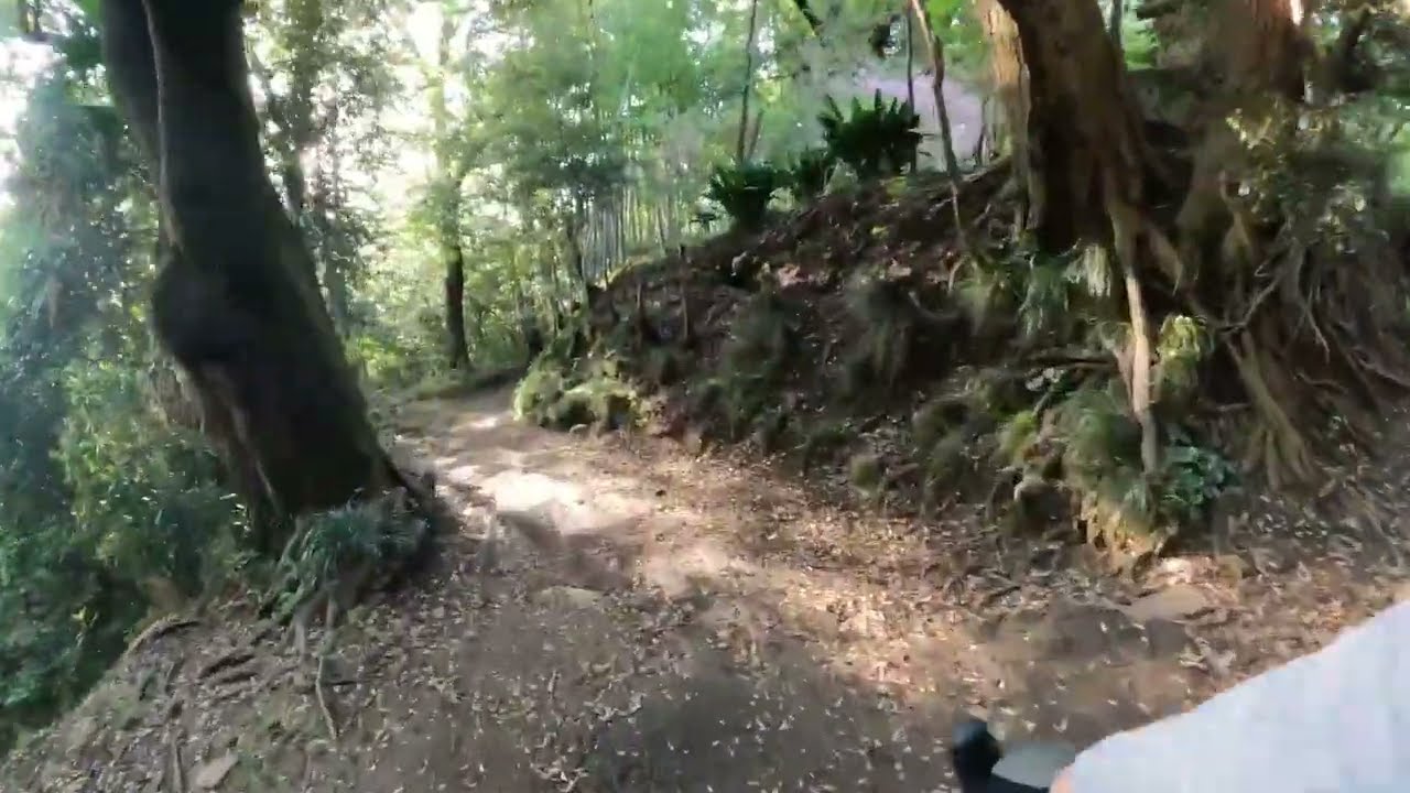 自転車は楽しいかね？~Is cycling fun?~