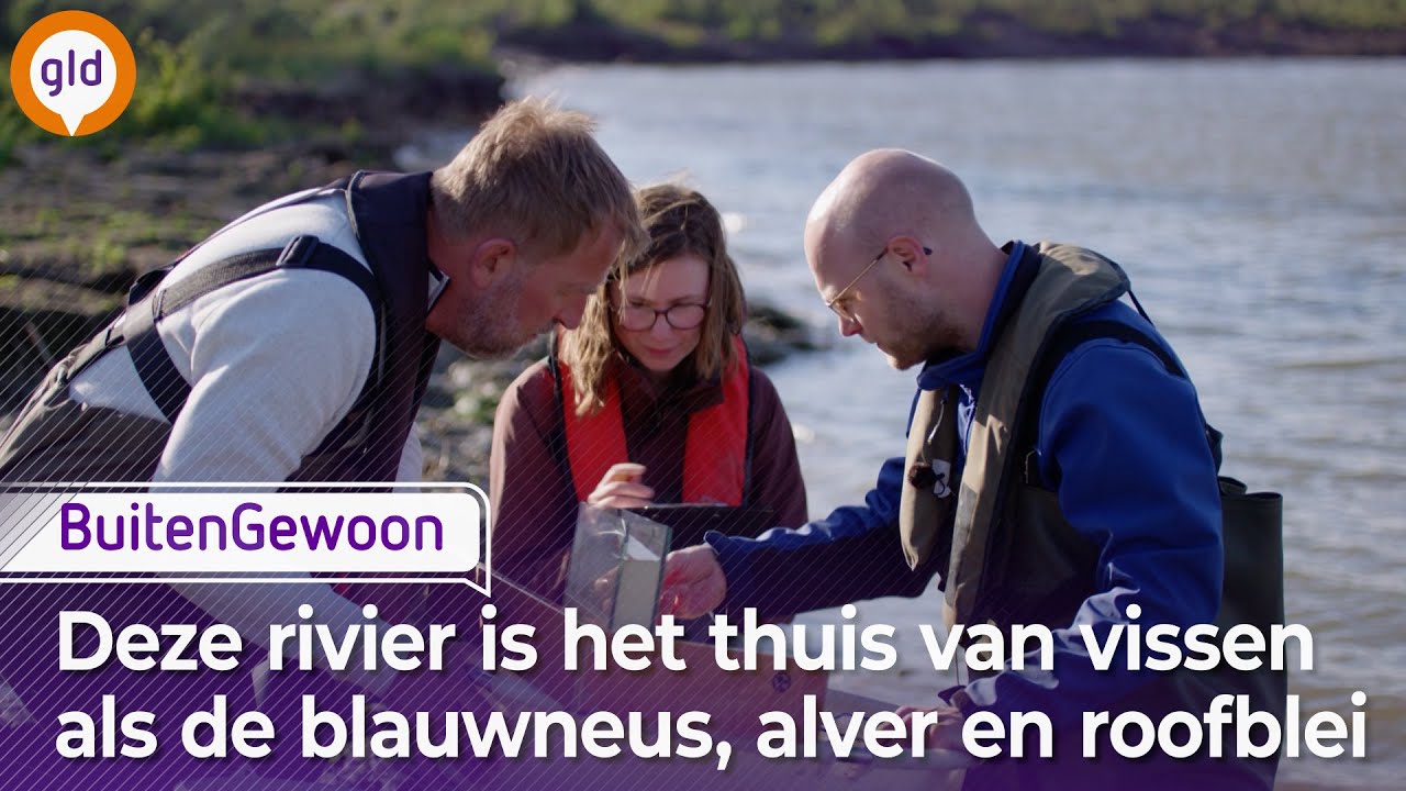 BuitenGewoon - Gameren