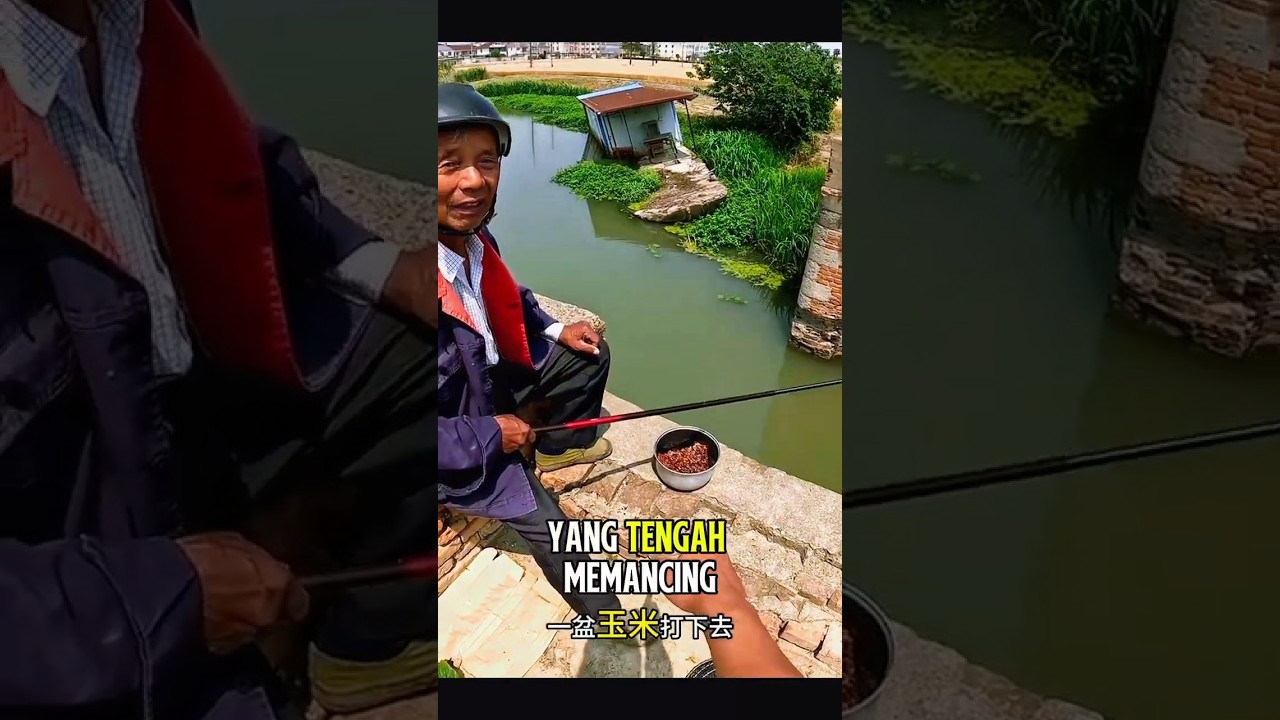 Sebagian Ikannya Dikasihkan Bapak Ini 🔥🐟🎣 #shorts #mancing #mancingikan #fishing
