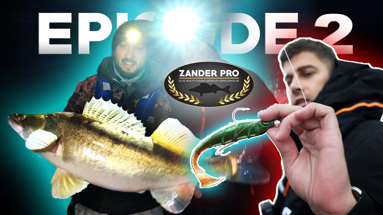 ZANDER PRO 2 - Odcinek 2 (Polskie napisy)