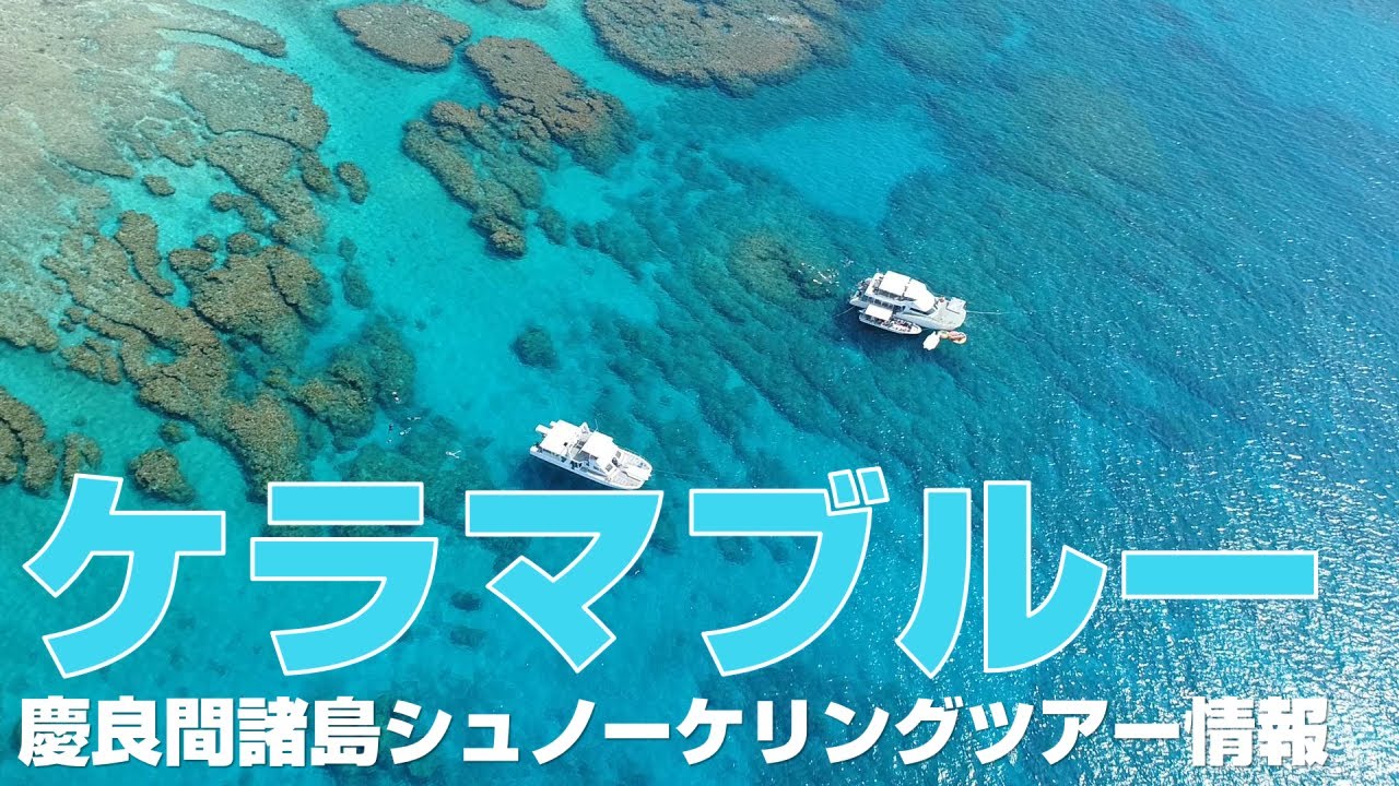 透明度世界トップレベル！慶良間諸島シュノーケリングツアー｜那覇ステイで絶景楽しむ沖縄旅行