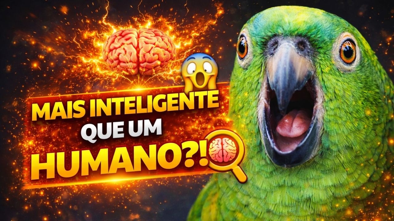 Papagaios: As Aves Mais Inteligentes da Natureza — Você Vai Se Surpreender!