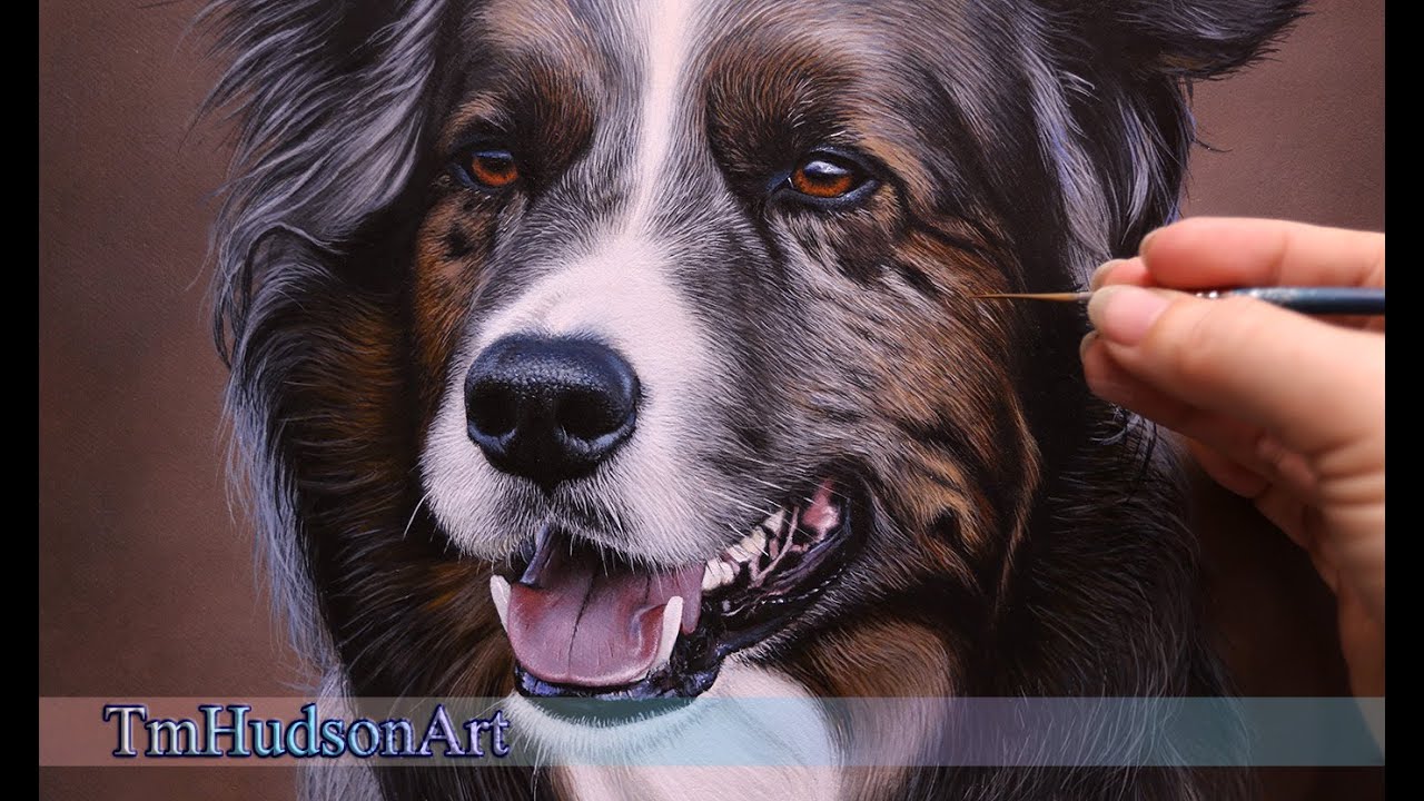 Painting a super realistic dog - Seal merle Border Collie timelapse