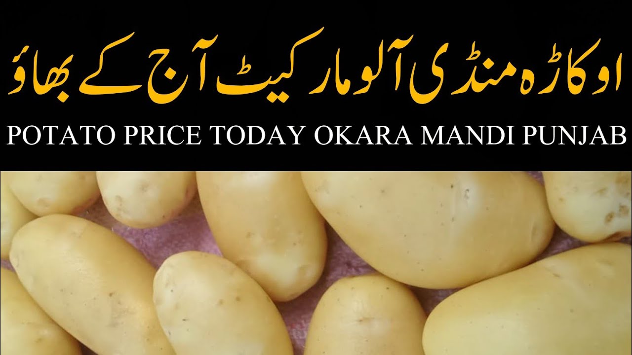 Potato mandi rate today okara aalu mandi rate today 18.01.2026