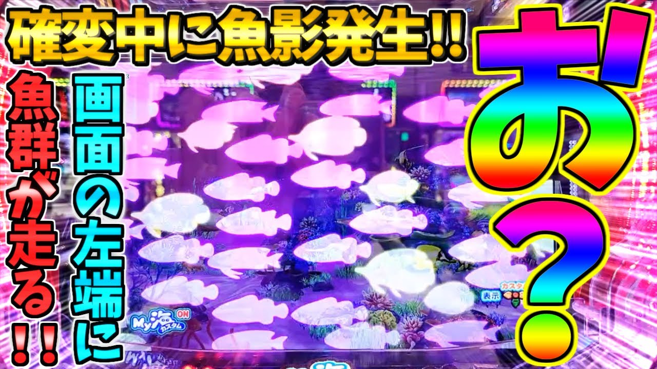 【超絶激レア】【新台】PA海物語3R3 / 声あり実況97回目!!確変中に魚影発生からとんでもねえ魚群を発生させてしまう男【パチンコ】【どさパチ 833ページ目】