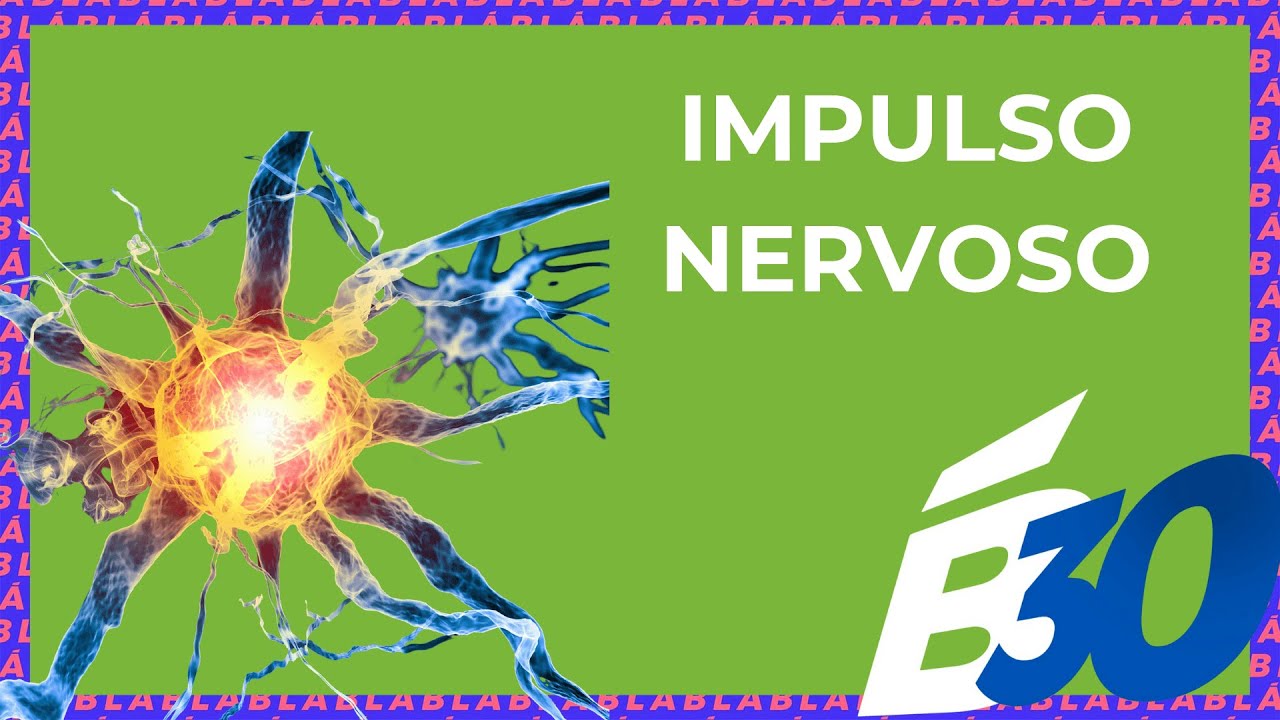 IMPULSO NERVOSO| Biologia em Meia Hora