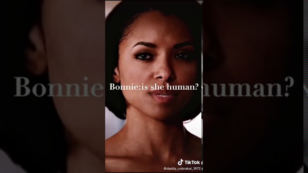 The Vampire Diaries POVS