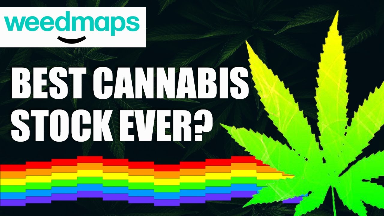 Weedmaps stock SSPK | BUY or SELL? First look on New Merger