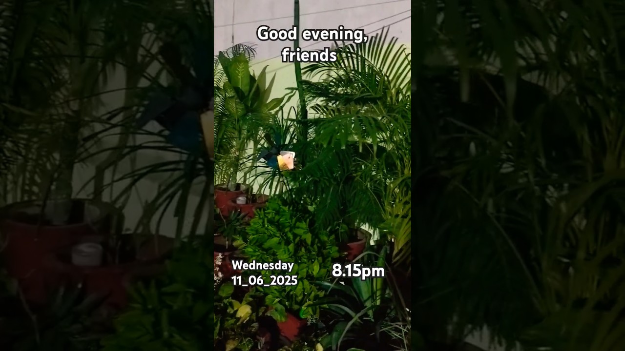 My peaceful place my garden.#terrace garden#good vives#happy place