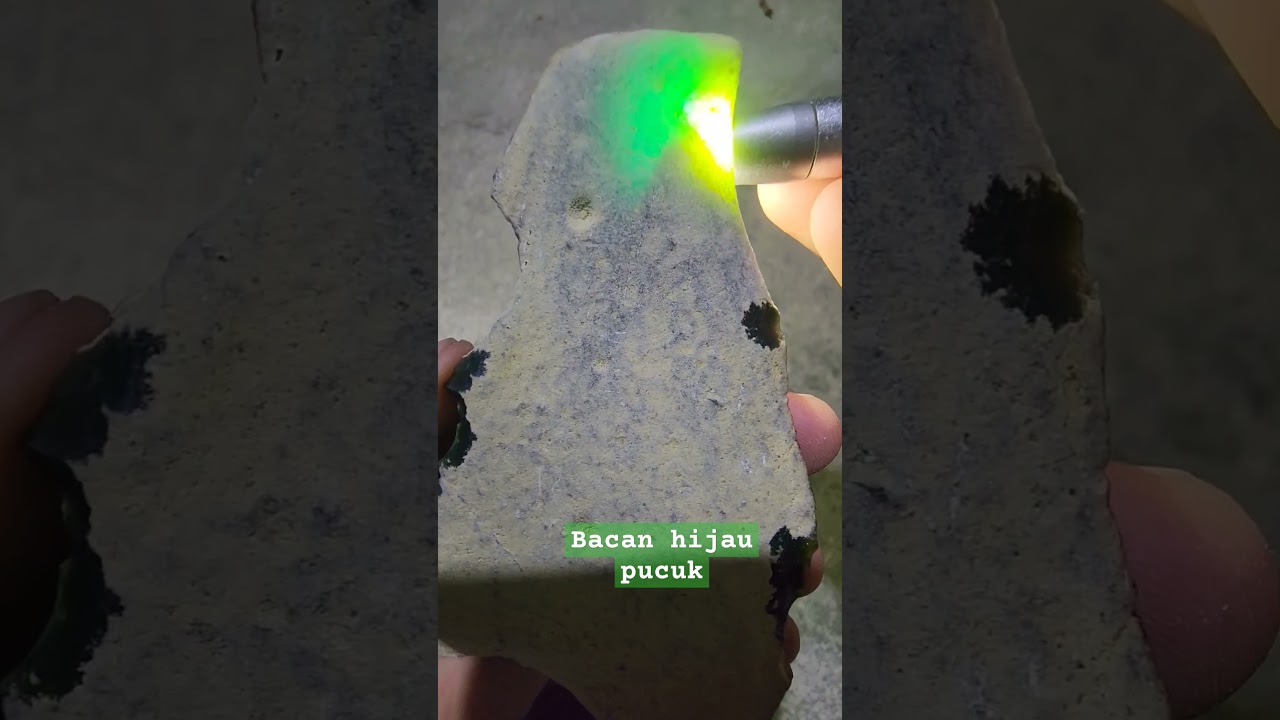 BACAN HIJAU MENGILA. #bacandoko #bacan  #bacancoklat  #bacanhijau  #bacangulao #bacansuper