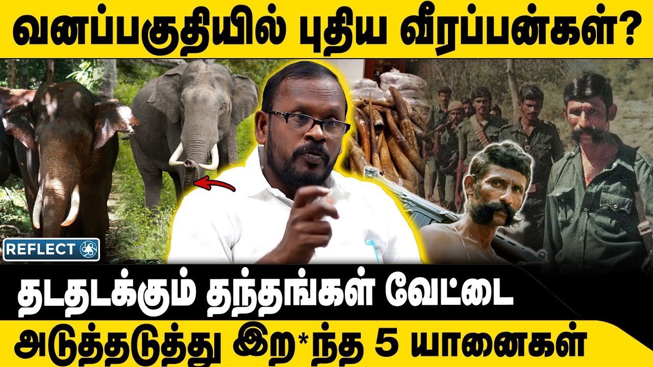 வனப்பகுதியில் புதிய வீரப்பன்கள் | Mugil Veerappan | Veerappan