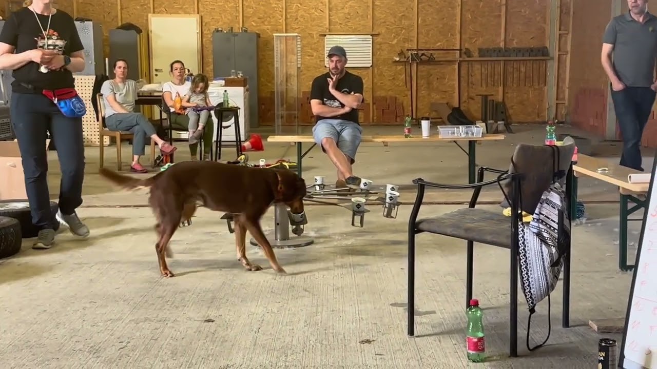 Simon Prins Workshop 04/24 - stolze Momente