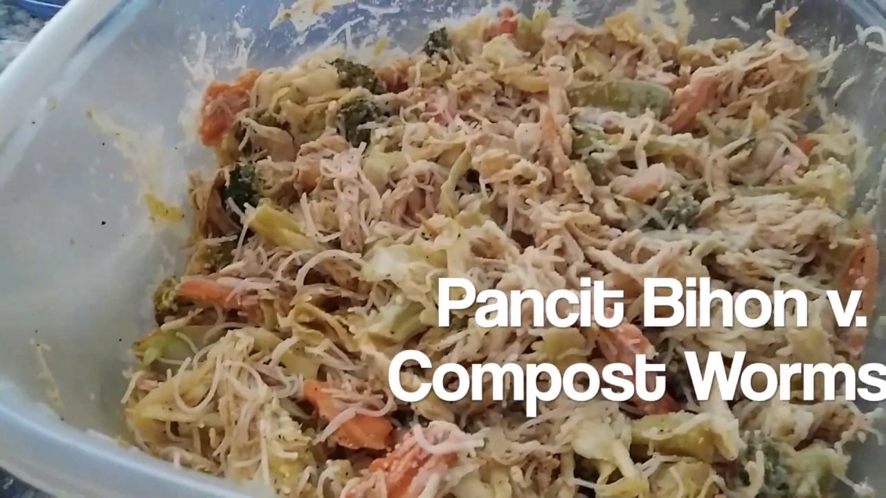 Compost Worms v. Pancit Bihon - Vermicompost Experiment Start to Finish