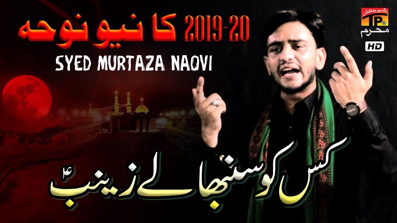 Kis Ko Sambhale Zainab | Syed Murtaza Naqvi | New Noha 2019 |  TP Muharram