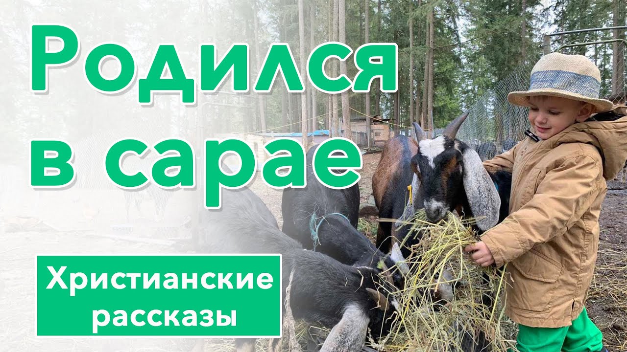 🟢 Родился в сарае - ИНТЕРЕСНЫЙ ХРИСТИАНСКИЙ РАССКАЗ | Христианские рассказы