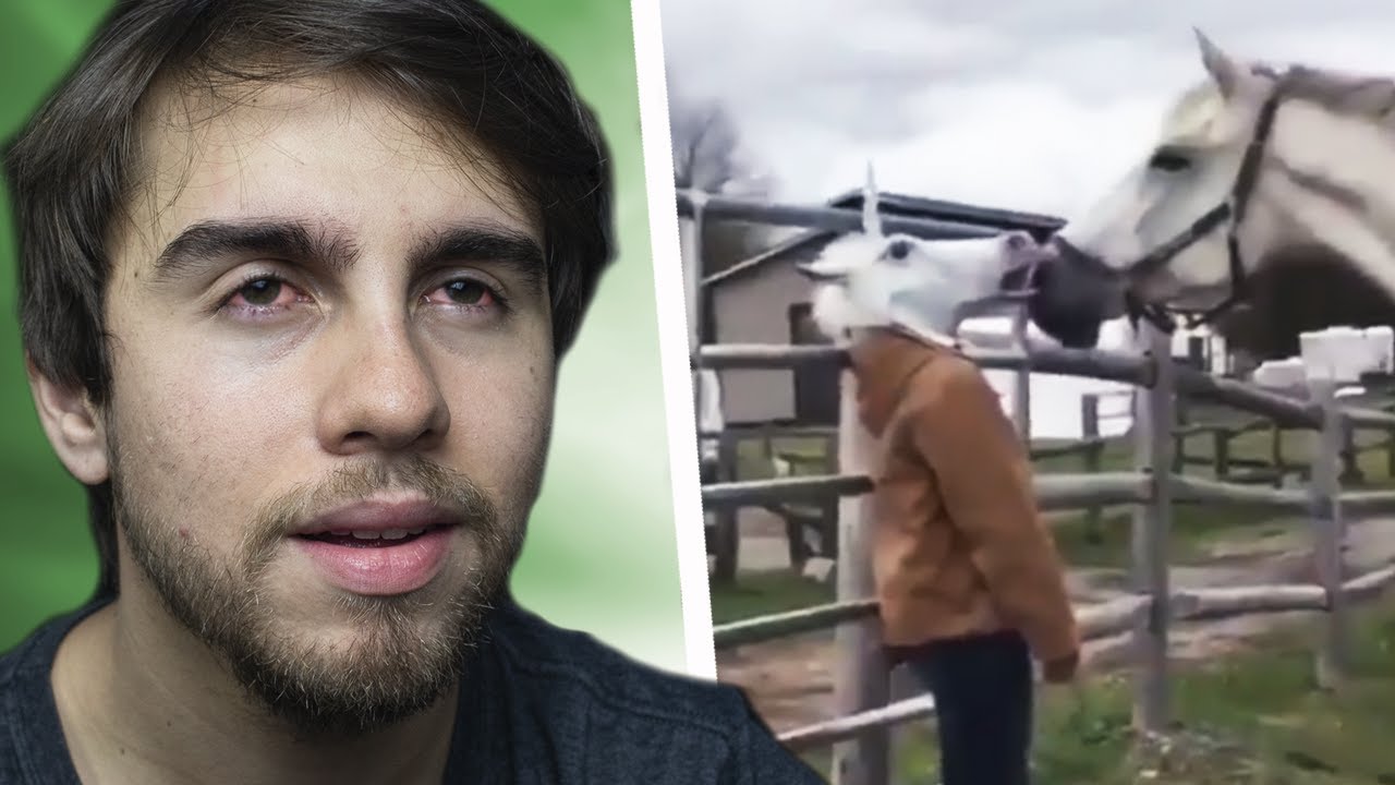 VIDEOS PARA VOCÊ VER QUANDO ESTIVER ASSIM